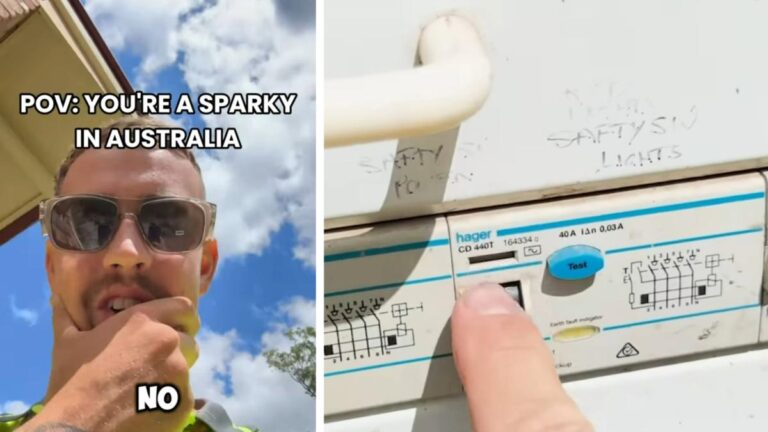 Gold Coast finds a “cooked” snake trade in the switching board after the emergency